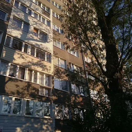 Grafit Lubiń